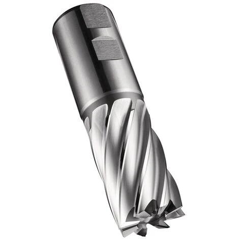 DORMER Schaftfräser C247 DIN 844 K Nenn-Ø 40 Mm Schneidenlänge 63 Mm HSS-E-PM Blank 30 ° Schneidenanzahl 6 -Frästische & Zubehör Verkäufe 2022 32890924 1